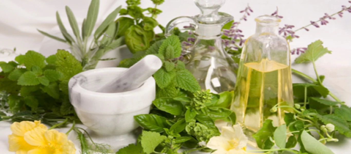 4+1 βότανα που μπορούν να «ρίξουν» τη χοληστερίνη